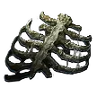 Preserved Rib in-game item artwork